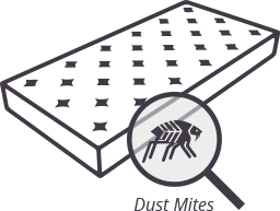 Dust Mites Cleaning Treatment